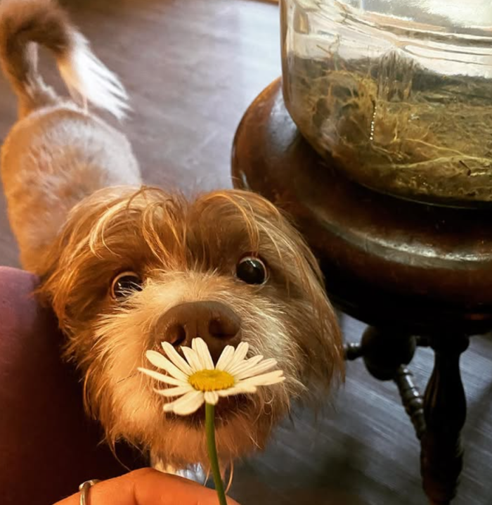 Screenshot 2025-04-17 11.49.18 AM